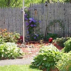 Meet your Posher, Marlane